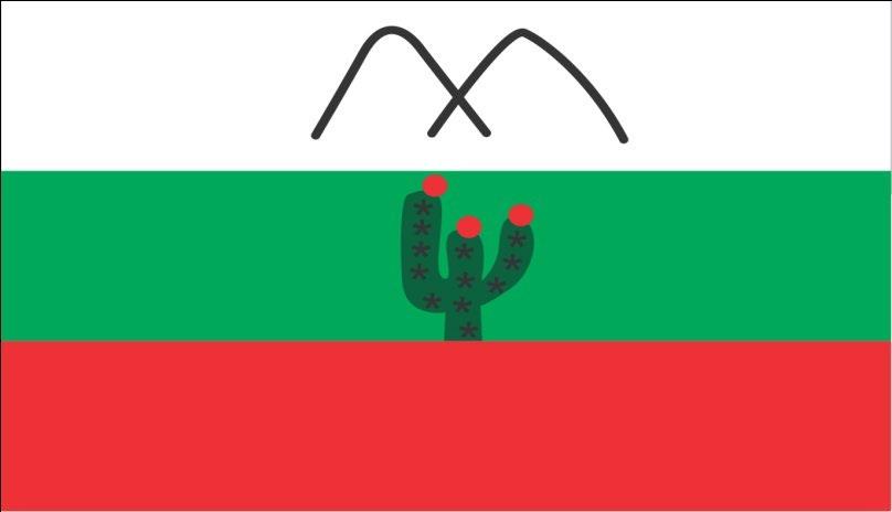 Bandera Tricolor de la IER Ashajaa